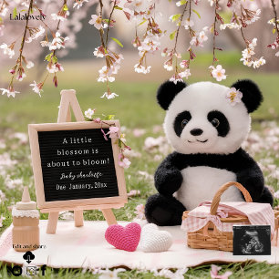 sweet panda and  blossom pregnancy announcement 