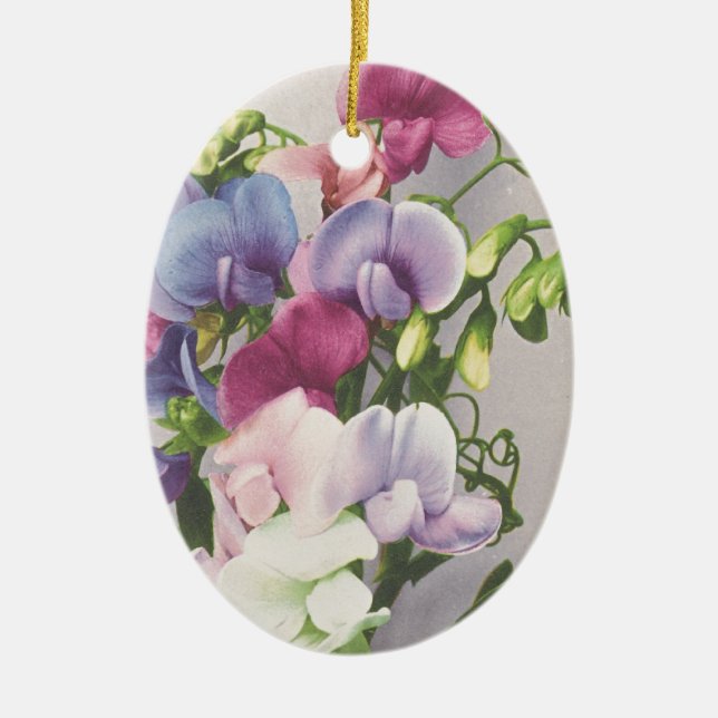 Sweet Pea 1907 Ceramic Tree Decoration (Front)