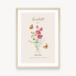 Sweet Pea Birth Month Flower Poster