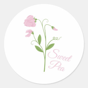 Sweet Pea Classic Round Sticker