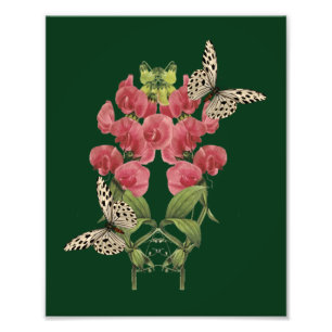 Sweet Pea Flowers And Butterflies 8x10 Photo Print