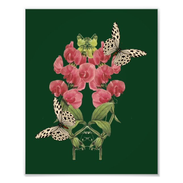 Sweet Pea Flowers And Butterflies 8x10 Photo Print (Front)
