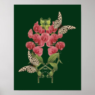 Sweet Pea Flowers And Butterflies Poster