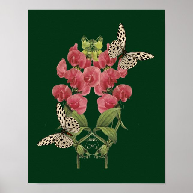 Sweet Pea Flowers And Butterflies Poster (Front)