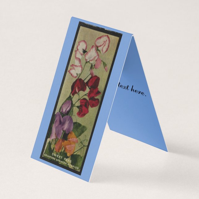 Sweet Pea Flowers Antique Seed Packet Print Card (Front)