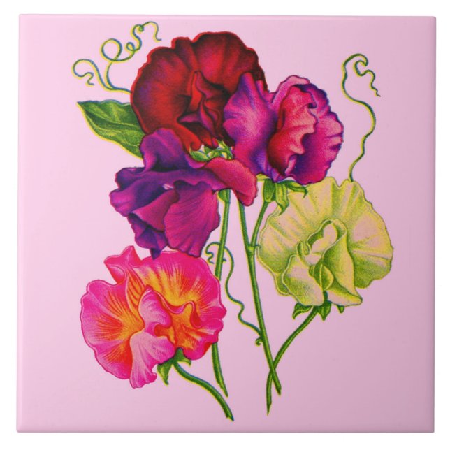 sweet pea flowers in purple and pink tile (Front)