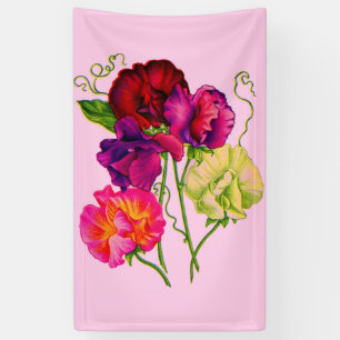 sweet pea in purple and pink banner
