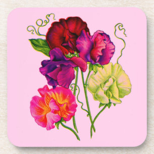 sweet pea in purple and pink coaster