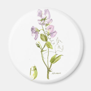 sweet pea magnet