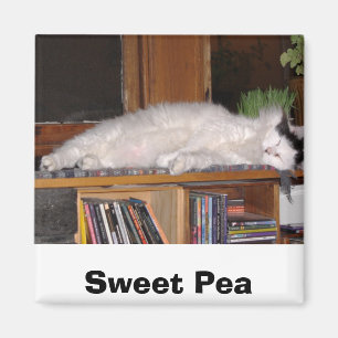 Sweet Pea Magnet