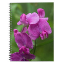 Sweet Pea Pretty Pink Wildflowers Floral Notebook