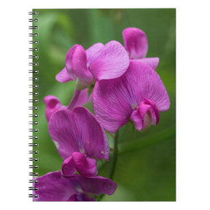 Sweet Pea Pretty Pink Wildflowers Floral Notebook