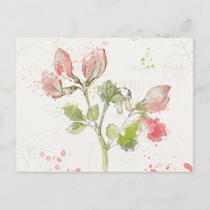 Sweet Pea watercolor Postcard