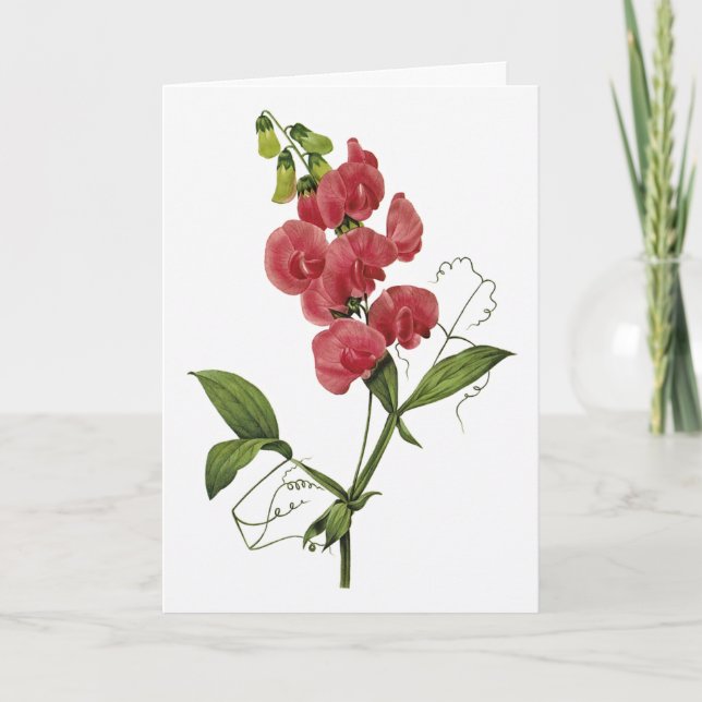 Sweet Pea Watercolor Thank You Card (Front)