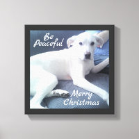Sweet Peaceful Cute White Dog Sitting With Dad Can