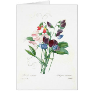 Sweet peas