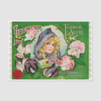 Sweet Peas 1908 Flower Seed Catalogue