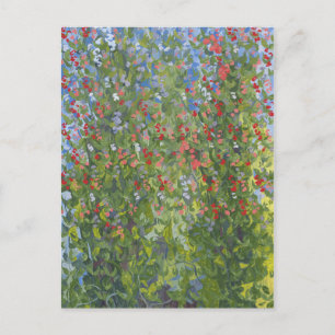 Sweet Peas 2014 Postcard
