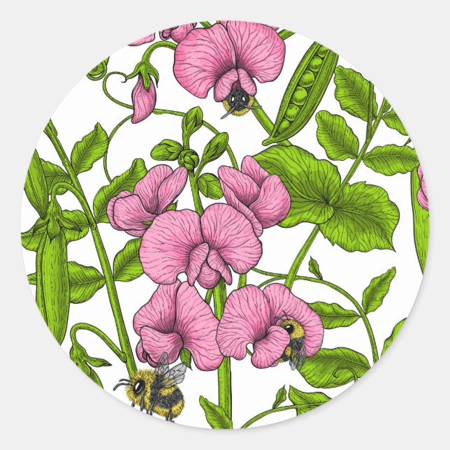 Sweet peas and bumblebees, pink, green and white classic round sticker (Front)