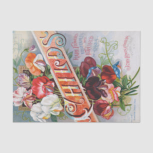 Sweet Peas of 1895 Vintage Print Tissue Paper