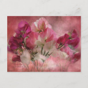 Sweet Peas Postcard