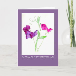 Sweet Peas Sympathy Card - Welsh Greeting