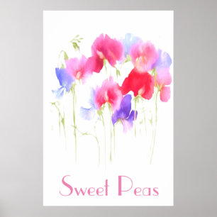 SWEET PEAS WATERCOLOUR STYLE POSTER