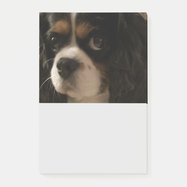 Sweet Pet Dog Groomer Veterinarian Cute Business Post-it Notes (Front)
