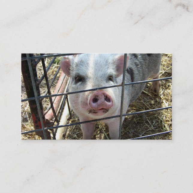 Sweet Pig Business Cards (Front)