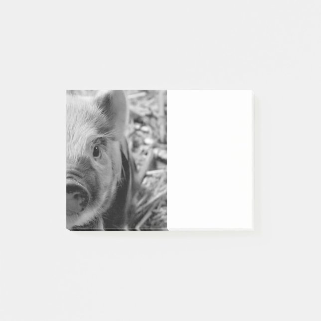 sweet piglet, black white post-it notes (Front)