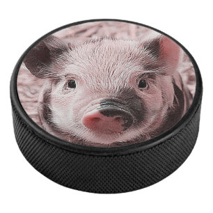 sweet piglet hockey puck