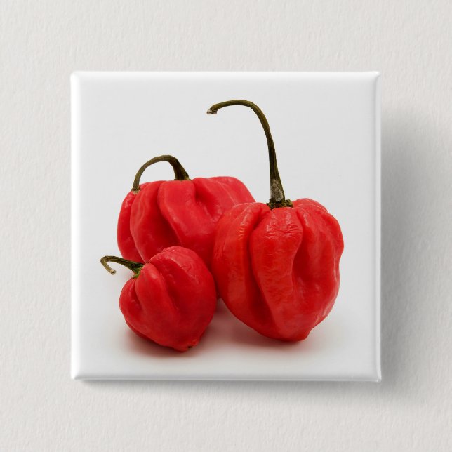 Sweet pimento peppers 15 cm square badge (Front)