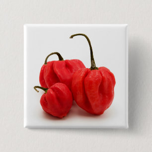 Sweet pimento peppers 15 cm square badge