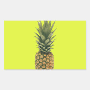 Sweet Pineapple Rectangular Sticker