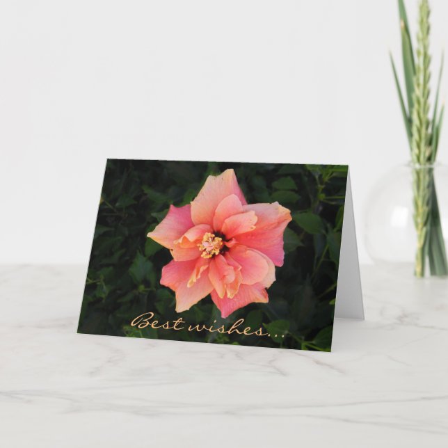 Sweet Pink Hibiscus Flower Custom Text Card (Front)
