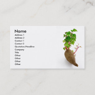 Sweet potato plant sprouts business card