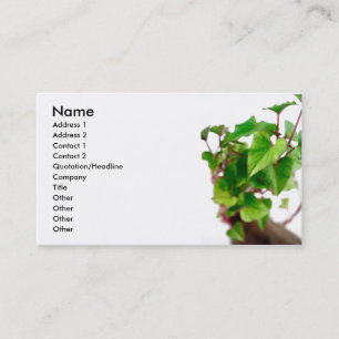 Sweet potato sprouts business card