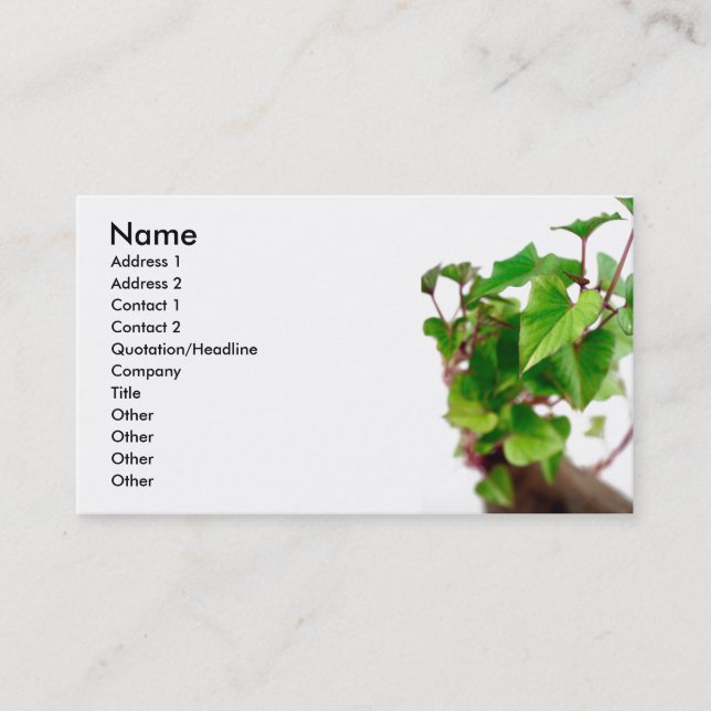 Sweet potato sprouts business card (Front)