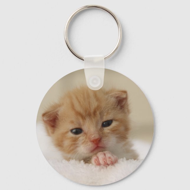 Sweet puppy kitty key ring (Front)