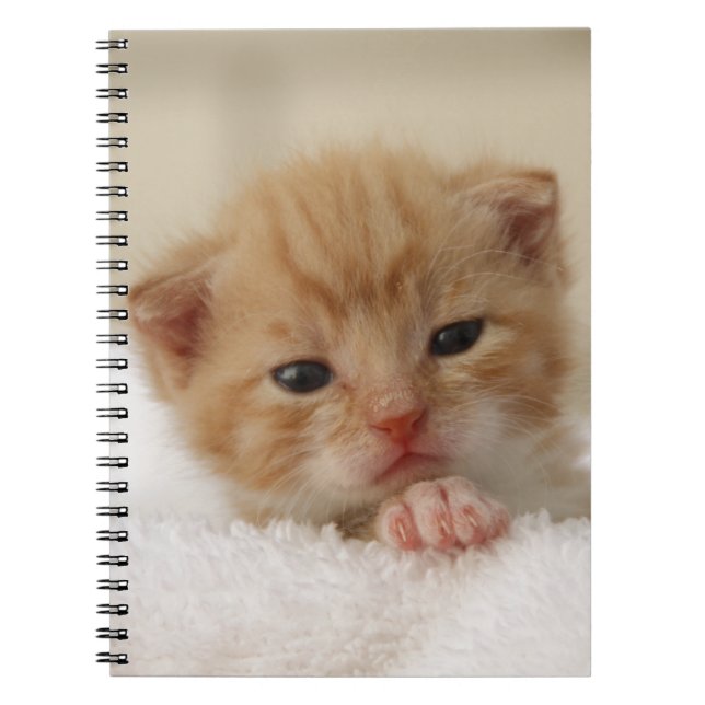 Sweet puppy kitty notebook (Front)