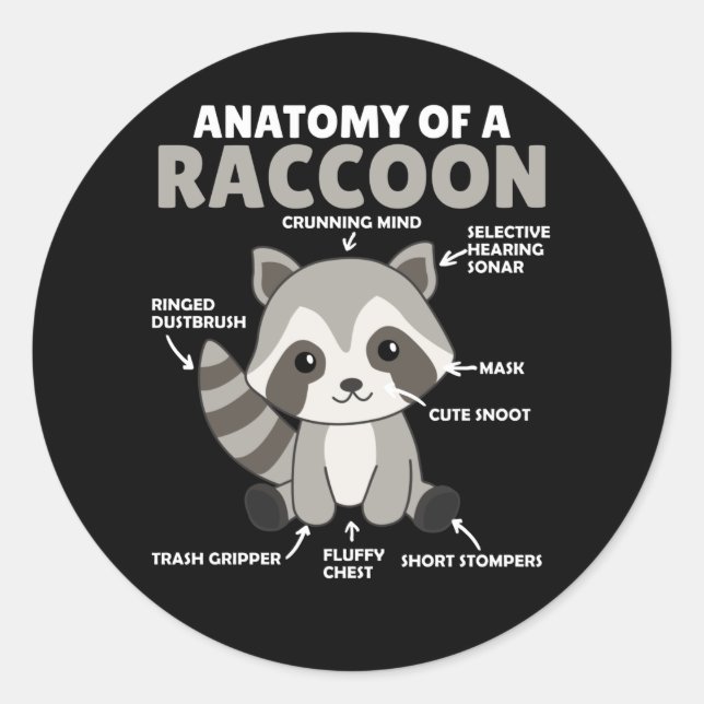 Sweet Racoon Explanation Anatomy Of A Racoon Classic Round Sticker (Front)