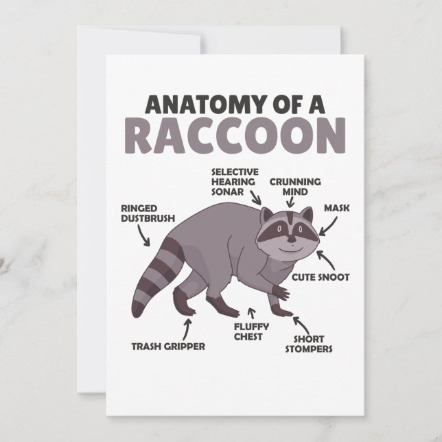 Sweet Racoon Explanation Anatomy Of A Racoon Invitation (Front)