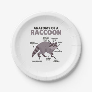 Sweet Racoon Explanation Anatomy Of A Racoon Paper Plate