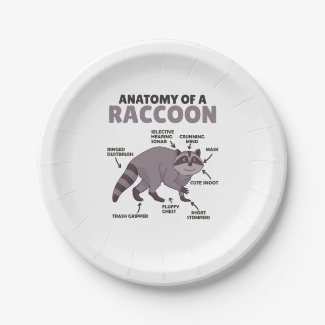 Sweet Racoon Explanation Anatomy Of A Racoon Paper Plate (Front)