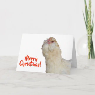 Sweet Rare Wheaten Ameraucana Hen Merry Christmas Card
