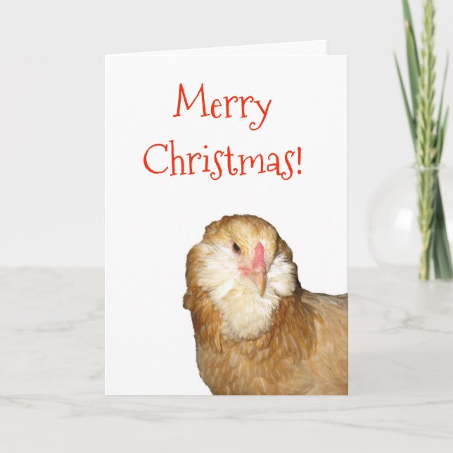 Sweet Rare Wheaten Ameraucana Hen Merry Christmas! Holiday Card (Front)