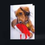 Sweet Red Long Hair Dachshund Holiday Card<br><div class="desc">Beautiful Christmas Pup</div>