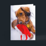 Sweet Red Long Hair Dachshund Holiday Card<br><div class="desc">Beautiful Christmas Pup</div>