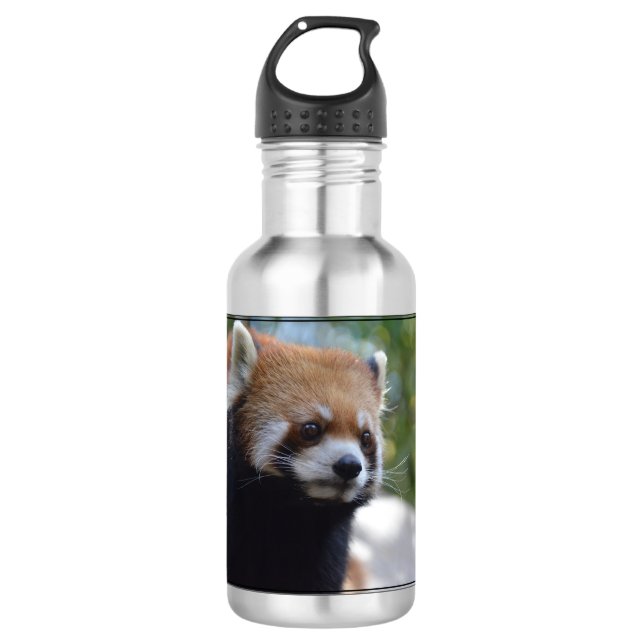 Sweet Red Panda Bear 532 Ml Water Bottle (Front)