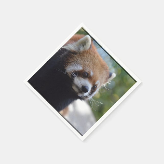 Sweet Red Panda Bear Napkin (Corner)